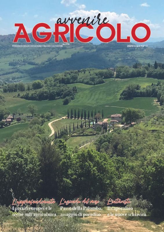 avvenire agricolo aic